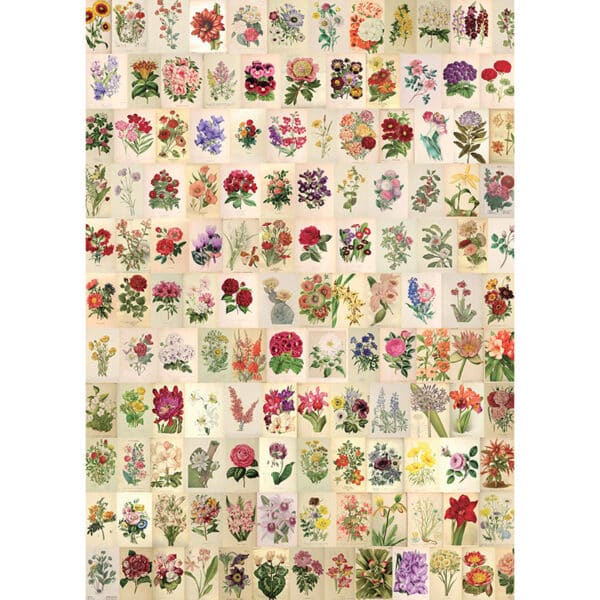Full view of Vintage Botanicals gift wrap sheet